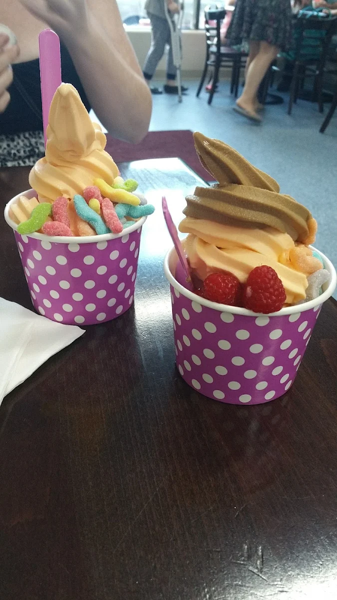 Self Made Frozen Yogurt