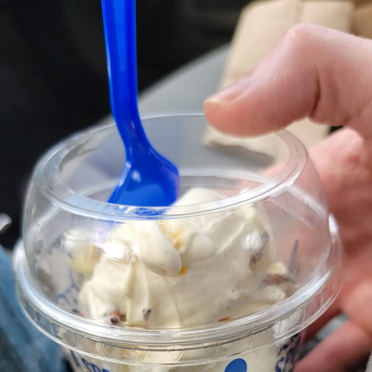 Turtle Sundae