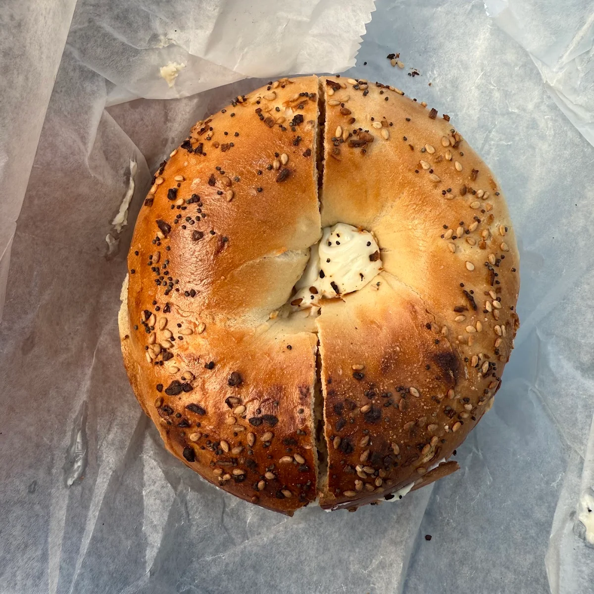 Everything Bagel Toasted with Cream Cheese