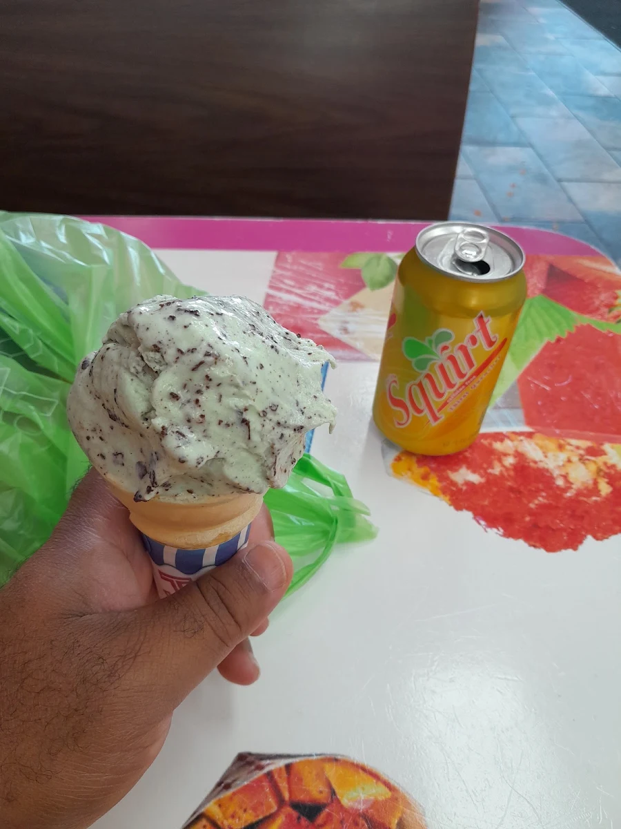 Mint Chocolate Chip Ice Cream Cone