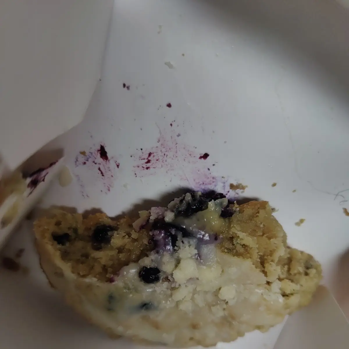 Blueberry Muffin