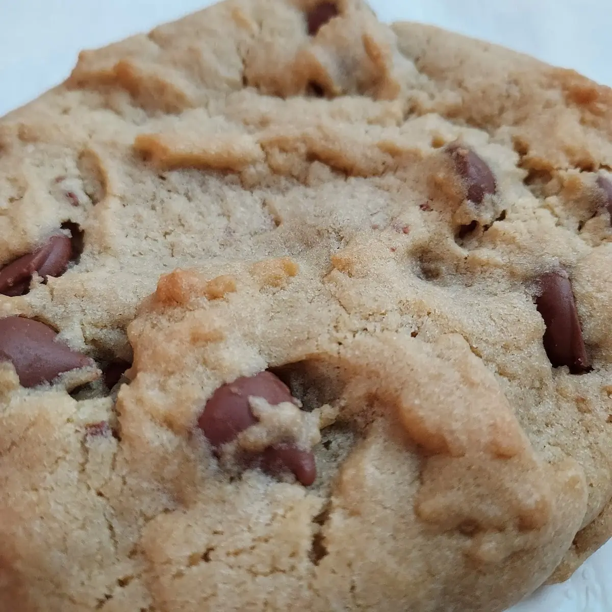 Milk Chocolate Chip
