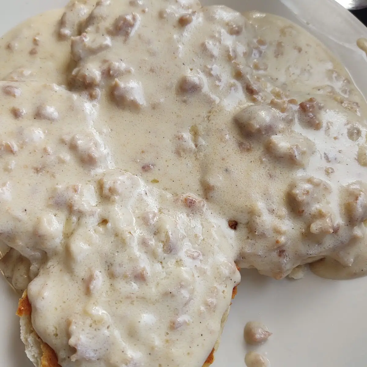 Biscuit with Sausage Gravy Special