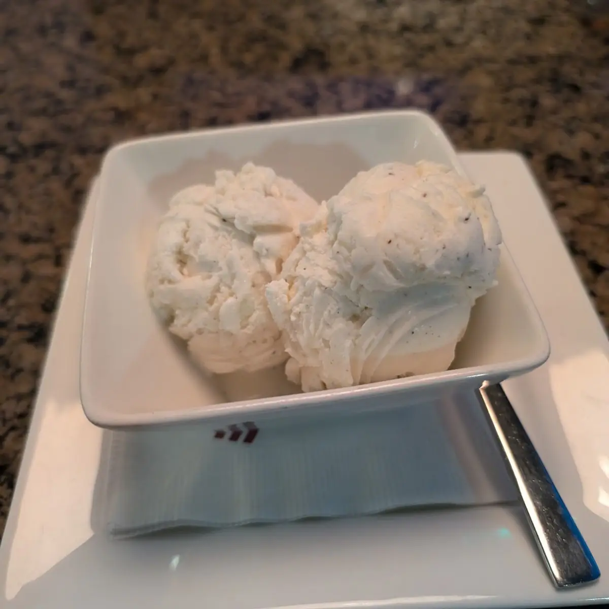 Vanilla Ice Cream