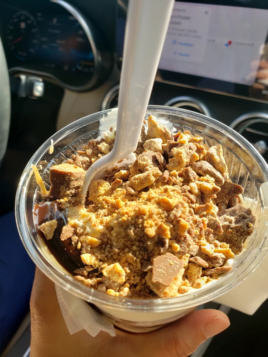 Vanilla Frozen Yogurt Hawaiian Crunch