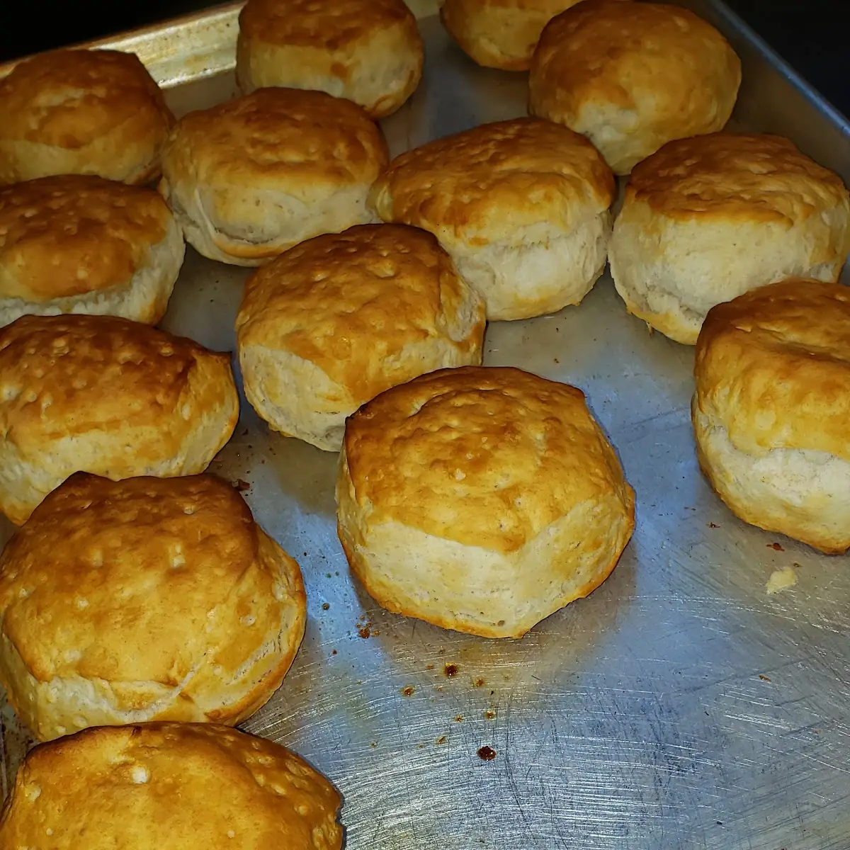 Hot Honey Biscuits
