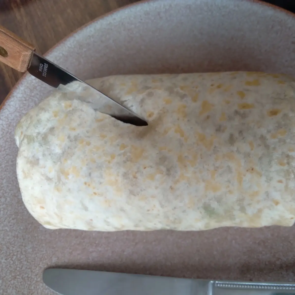 Shredded Beef Burrito