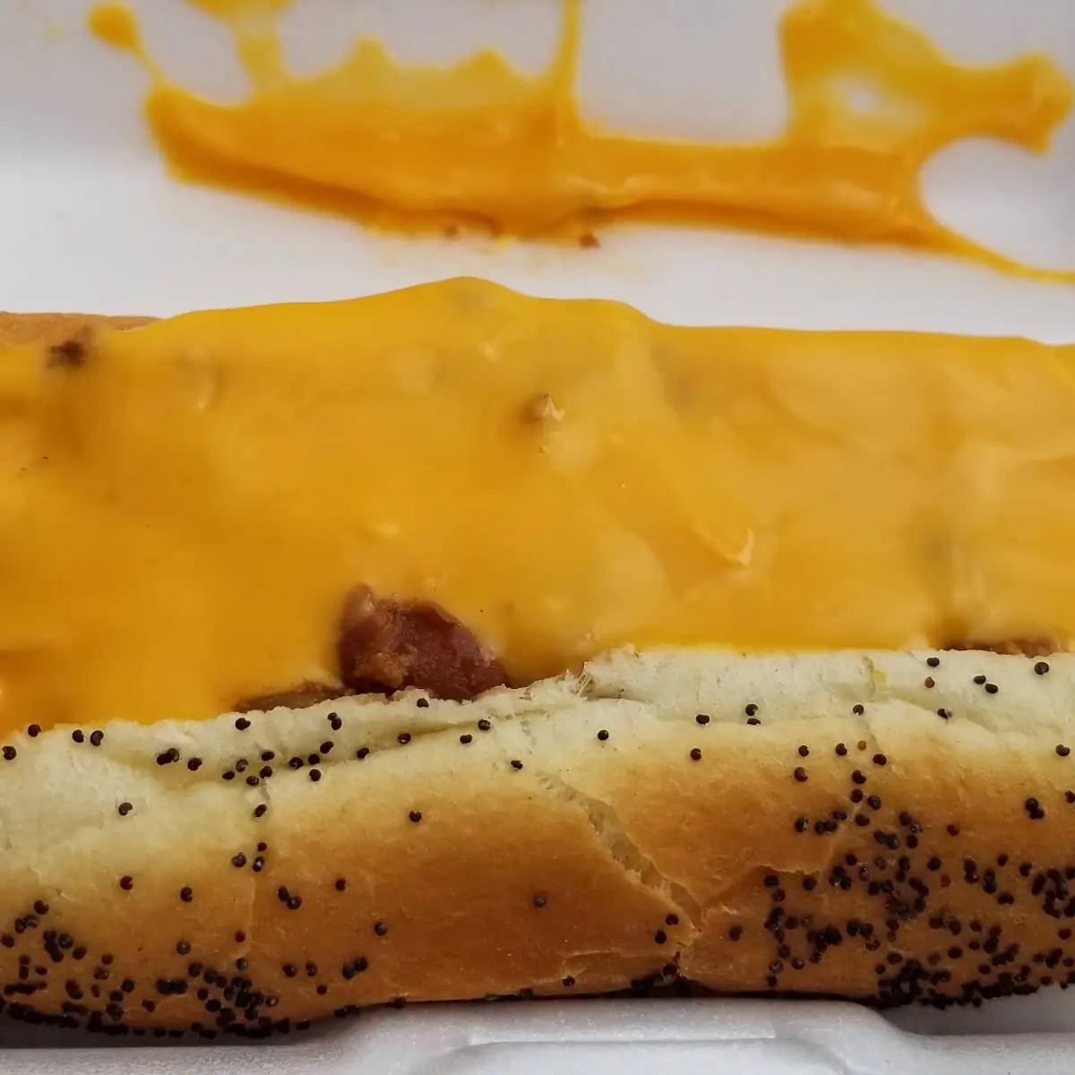 Chili Cheese Dog