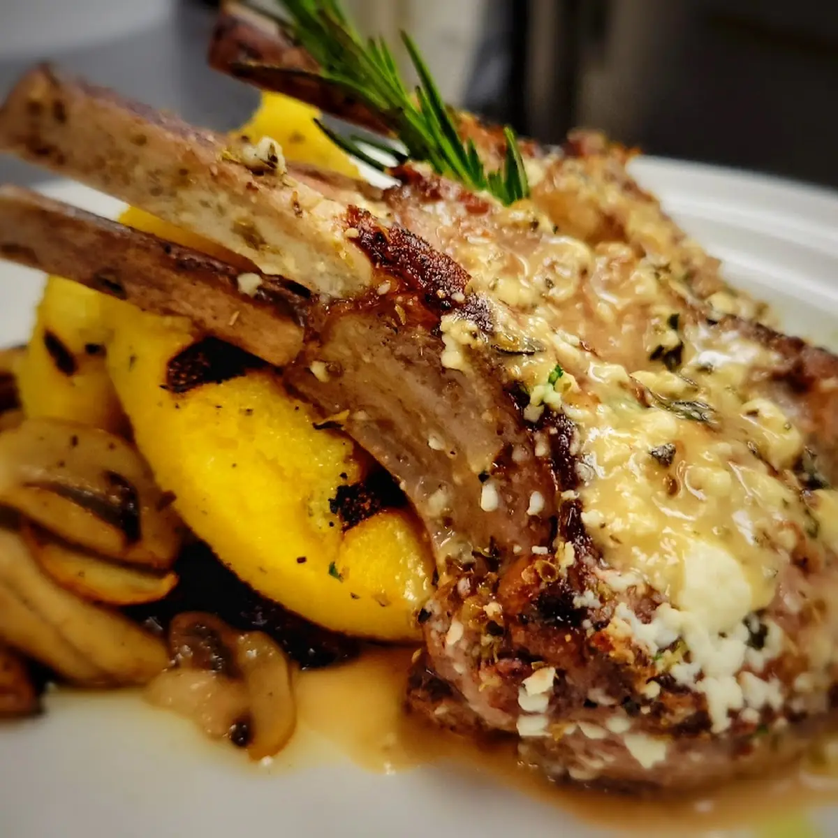 Lamb Chops Goat Cheese Encrusted
