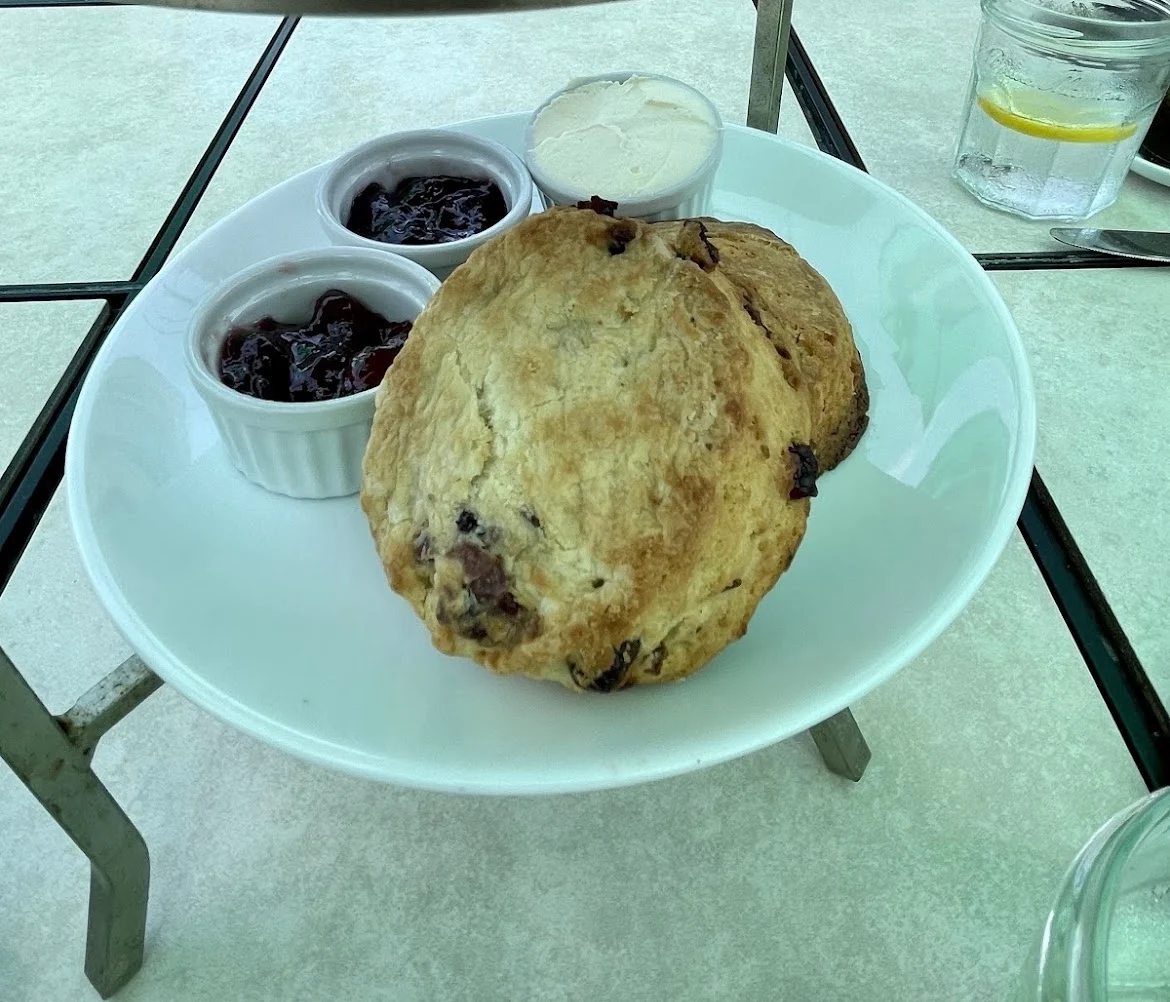 Freshly Baked Scones