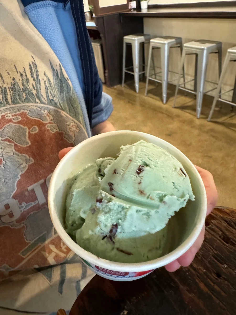 Mint Chocolate Chip Gelato