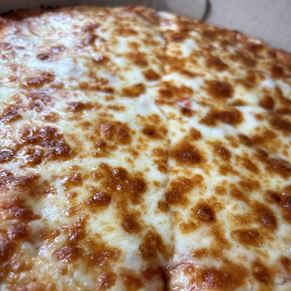 Cheese Pizza