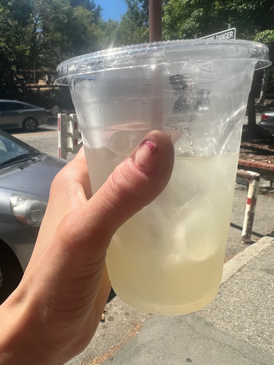 Fresh Squeezed Lemonade