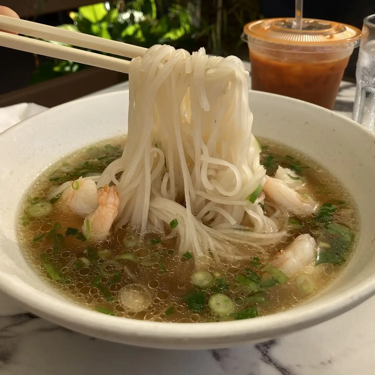 Beef Broth