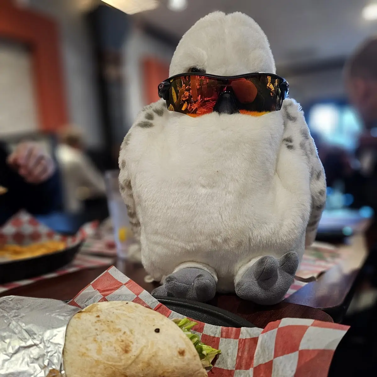 Chicken Caesar Wrap