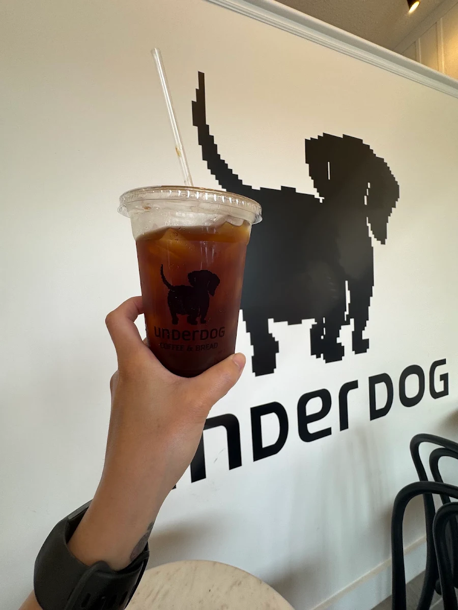 Iced Americano