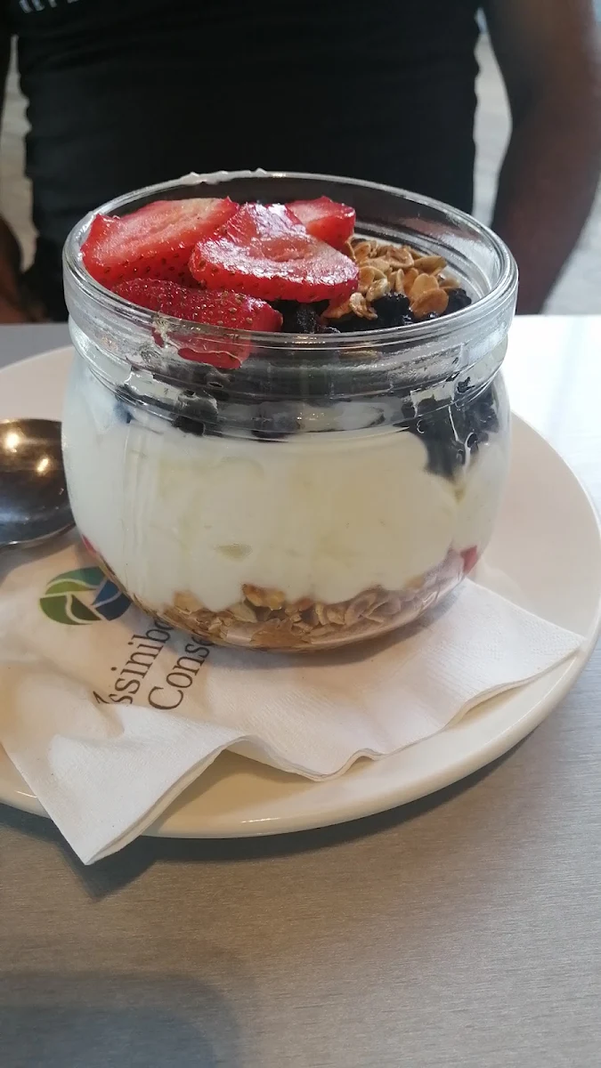 Fresh Fruit and Greek Yogurt Parfait