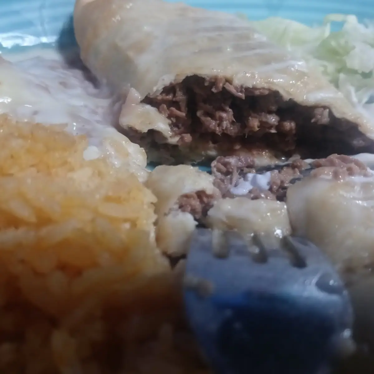 Quesadilla
