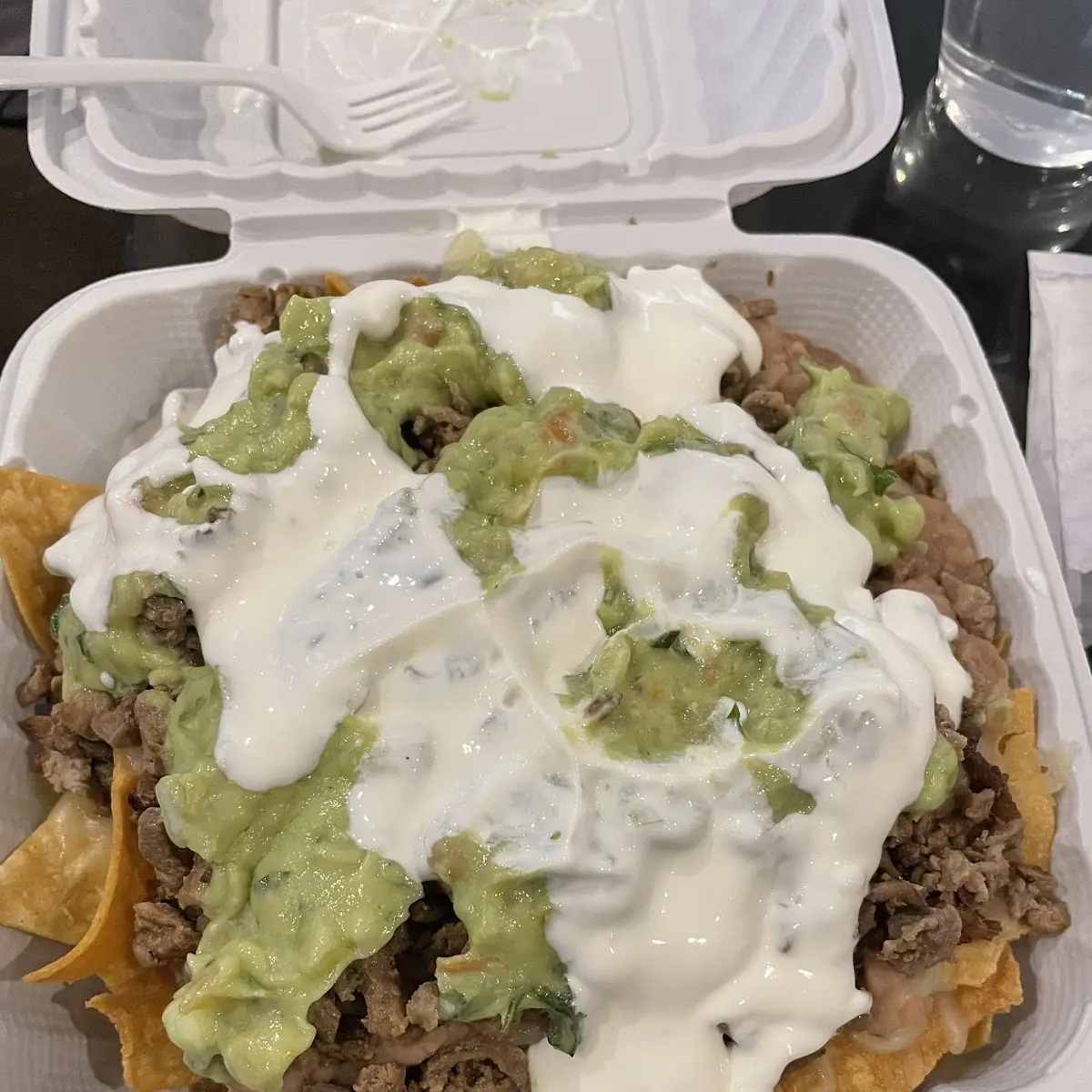 Carne Asada Fries