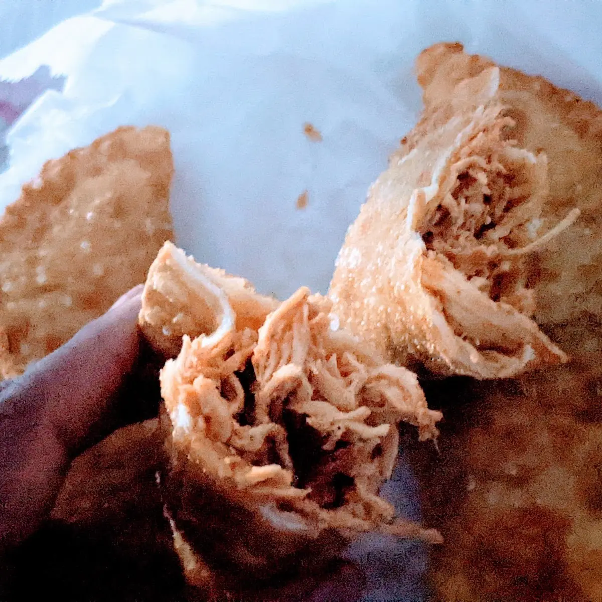 Chicken Empanada