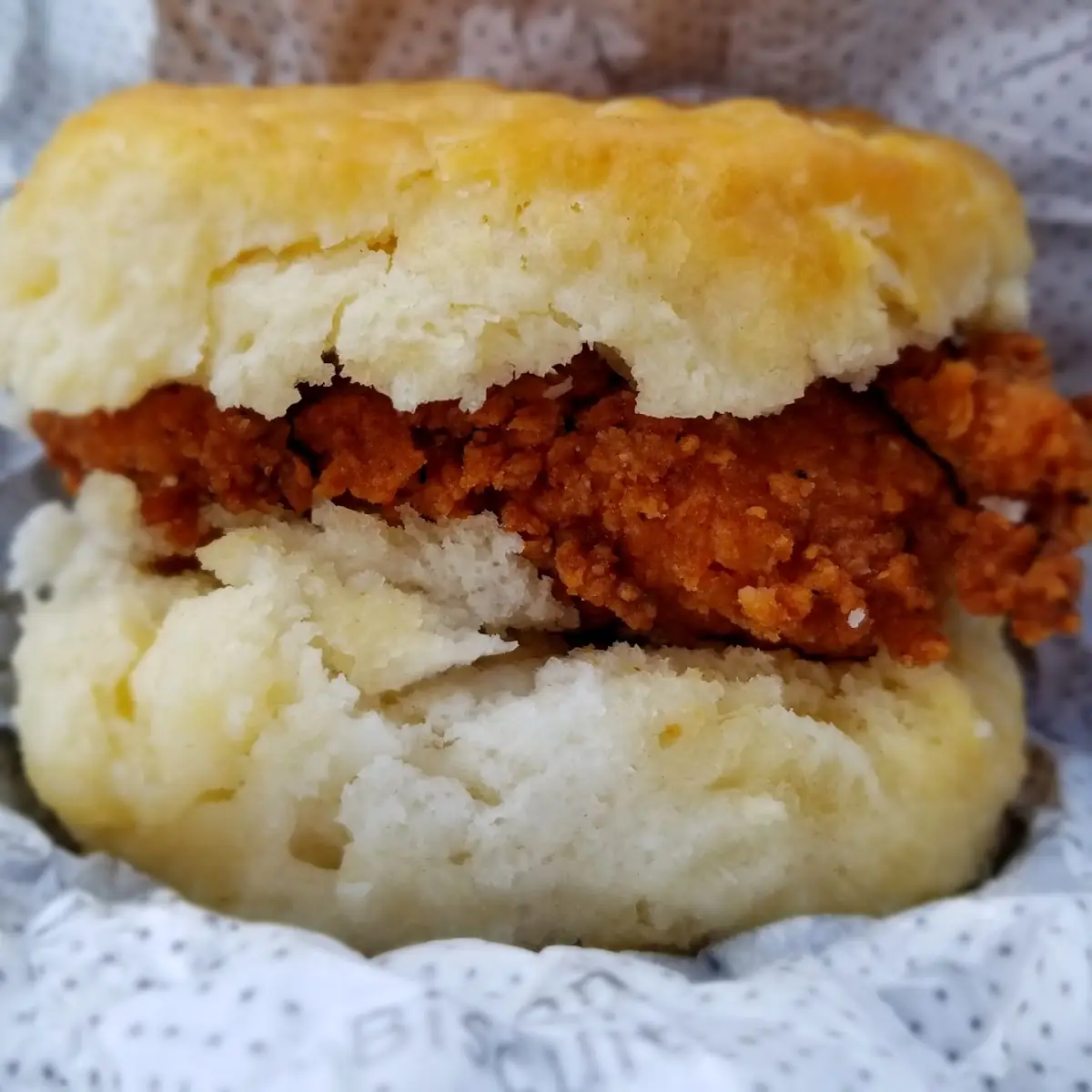 Chick-Fil-A Chicken Biscuit