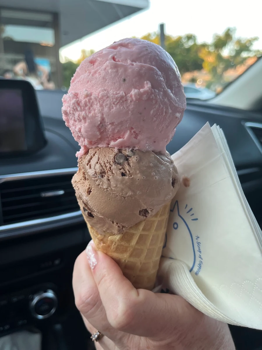 Chocolate and Strawberry Ice Cream Cone
