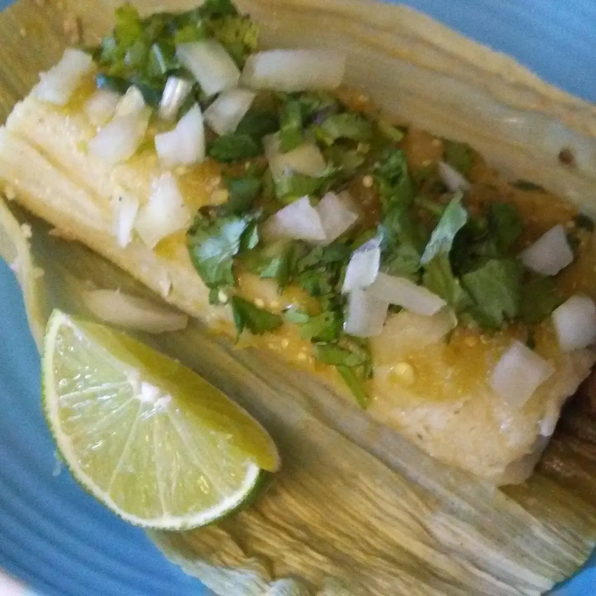 Pork Carnitas Tamales
