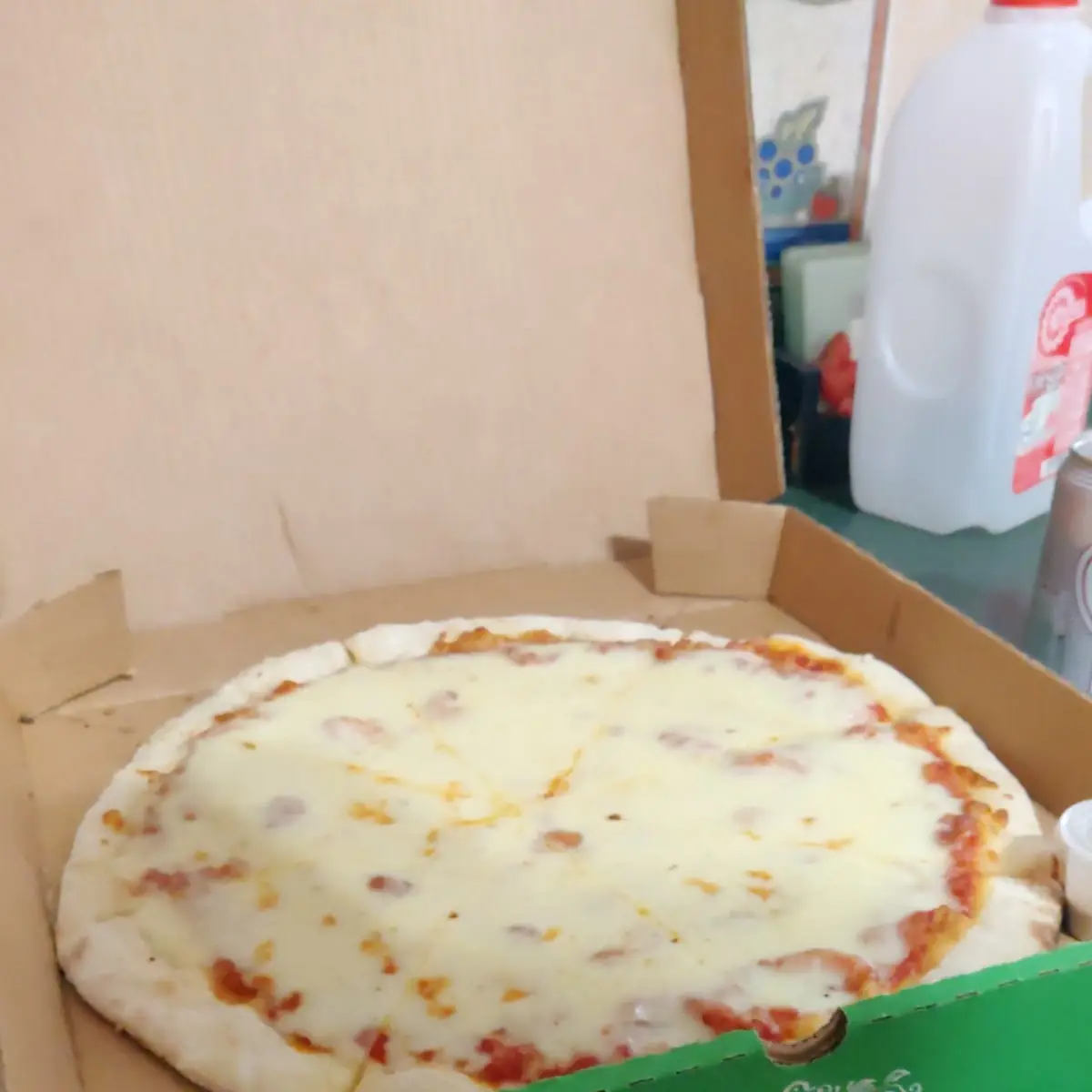 Extra Cheese Pizza