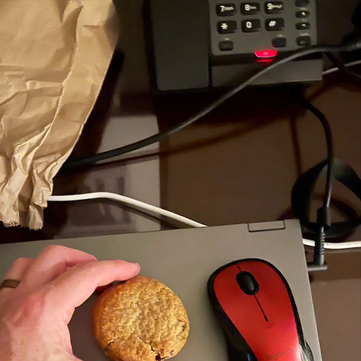 Oatmeal Raisin Cookie