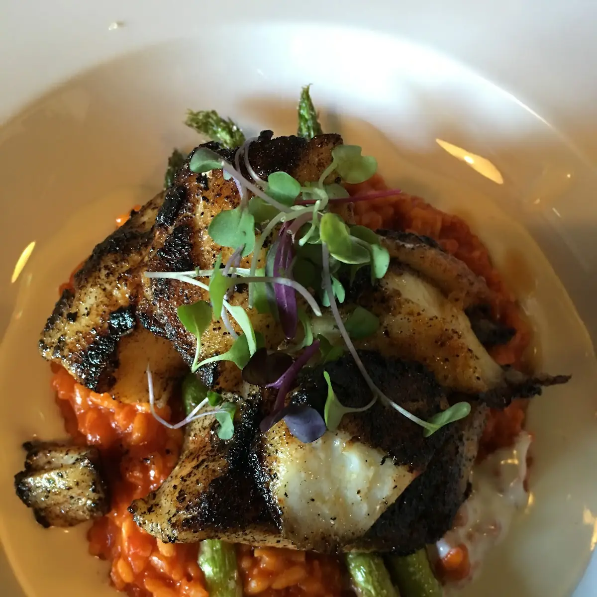 Sea Bass