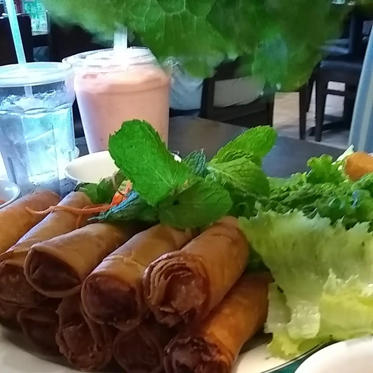Spring Rolls and Egg Rolls