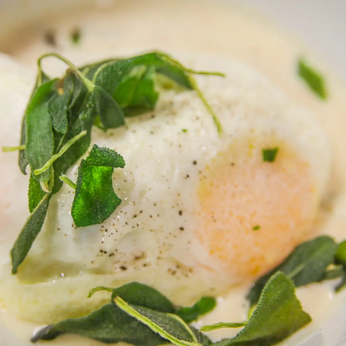 Poached Eggs