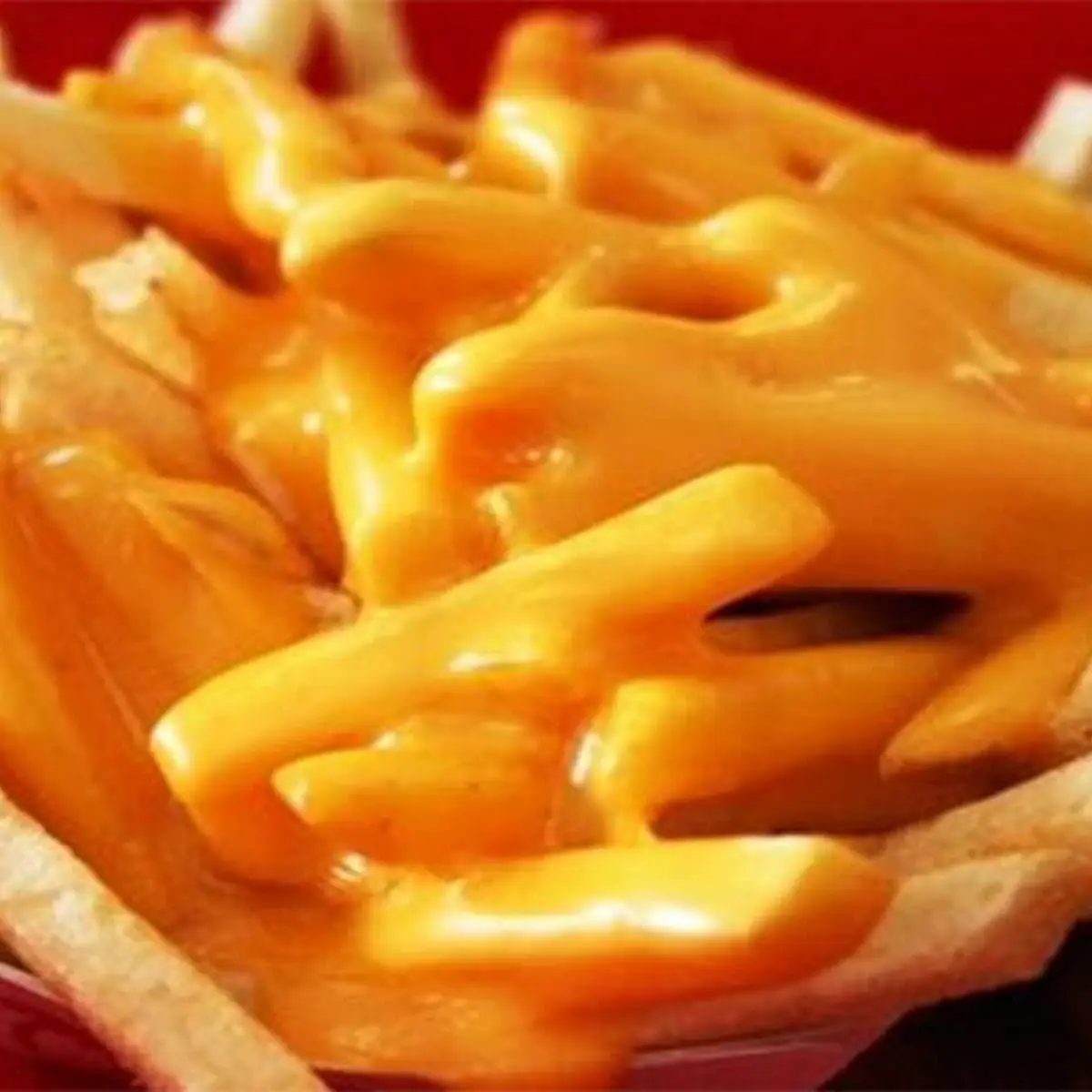 Cheese Fries