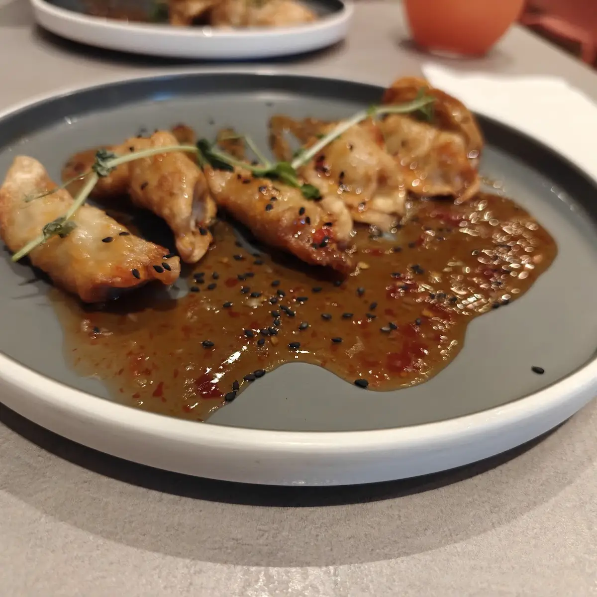 Fried Pork Dumplings