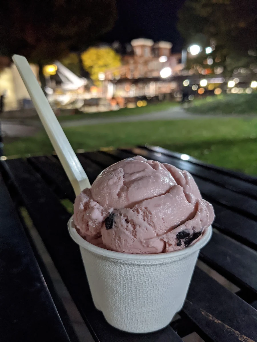 Chocolate Ice Cream