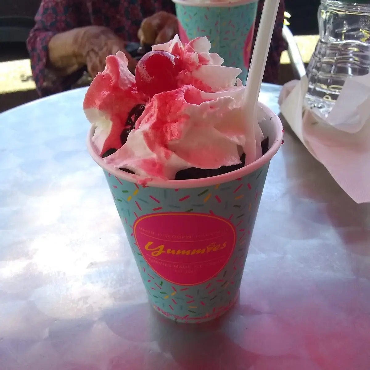 Hot Fudge Sundae