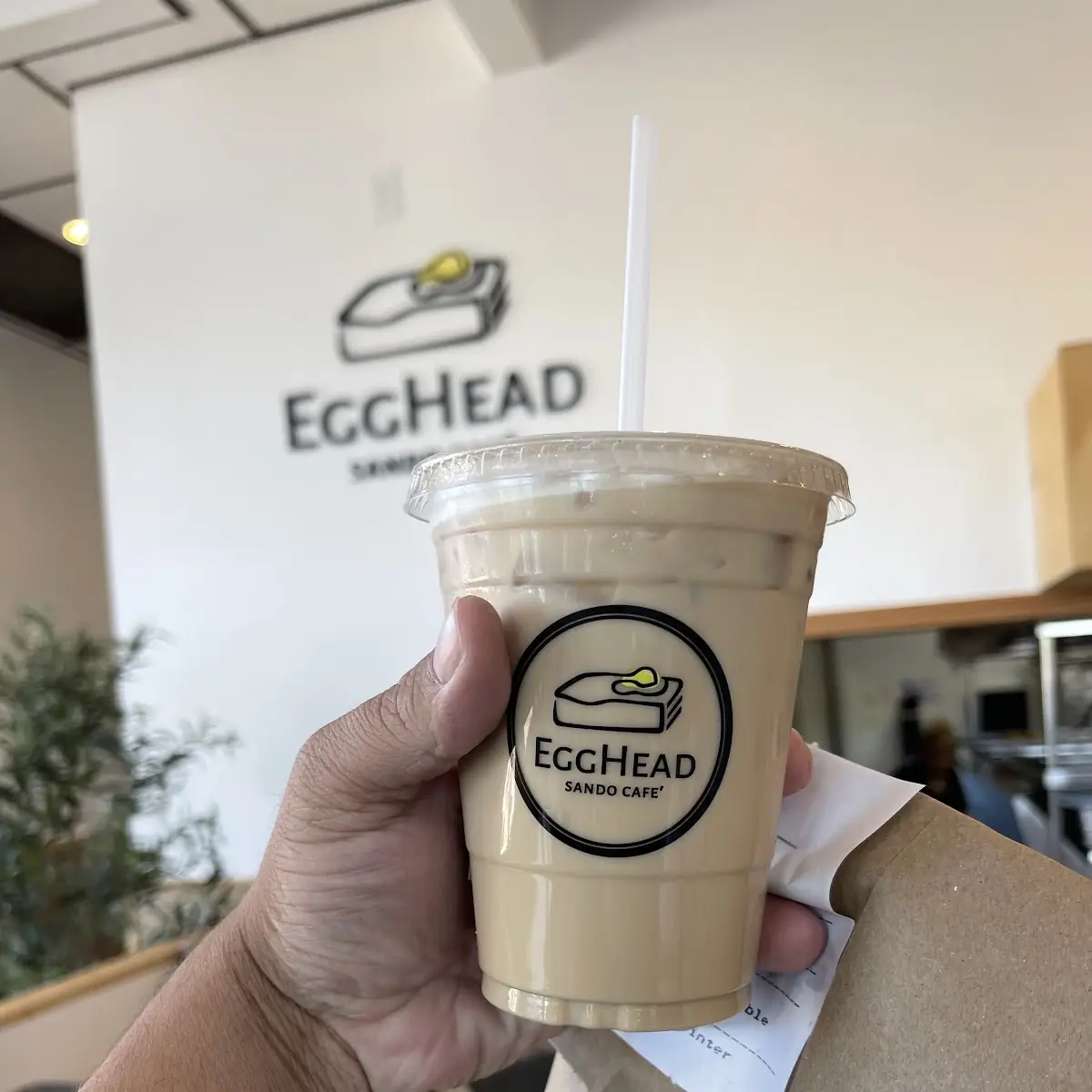 Iced Cafe Latte