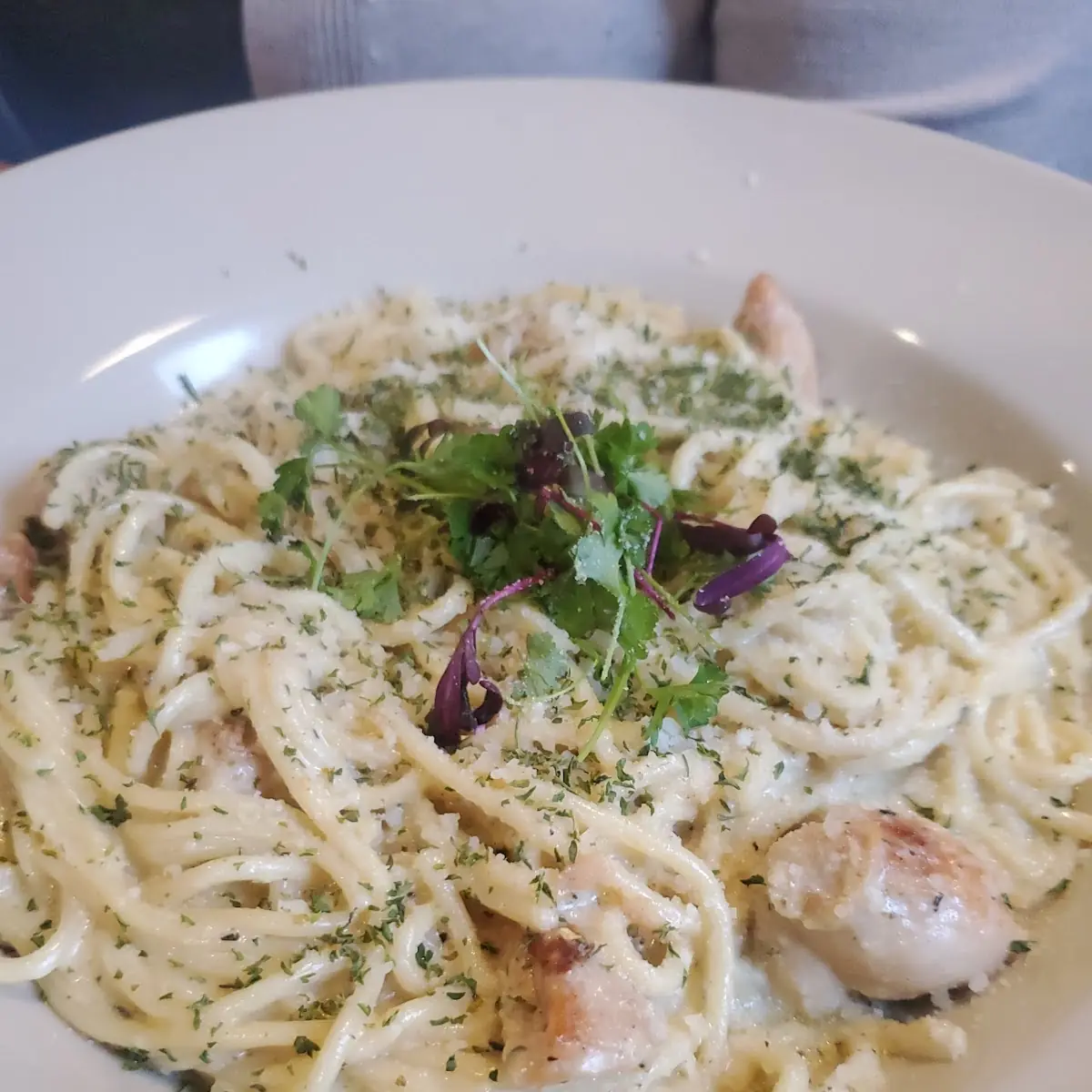 Kids Chicken Alfredo