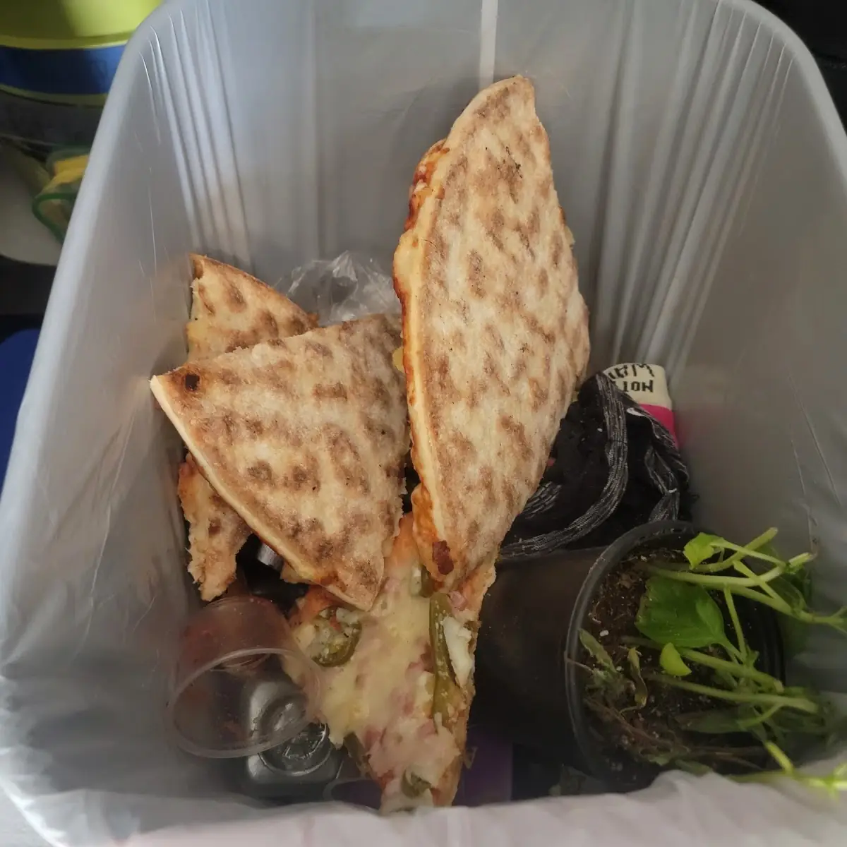 Quesadilla