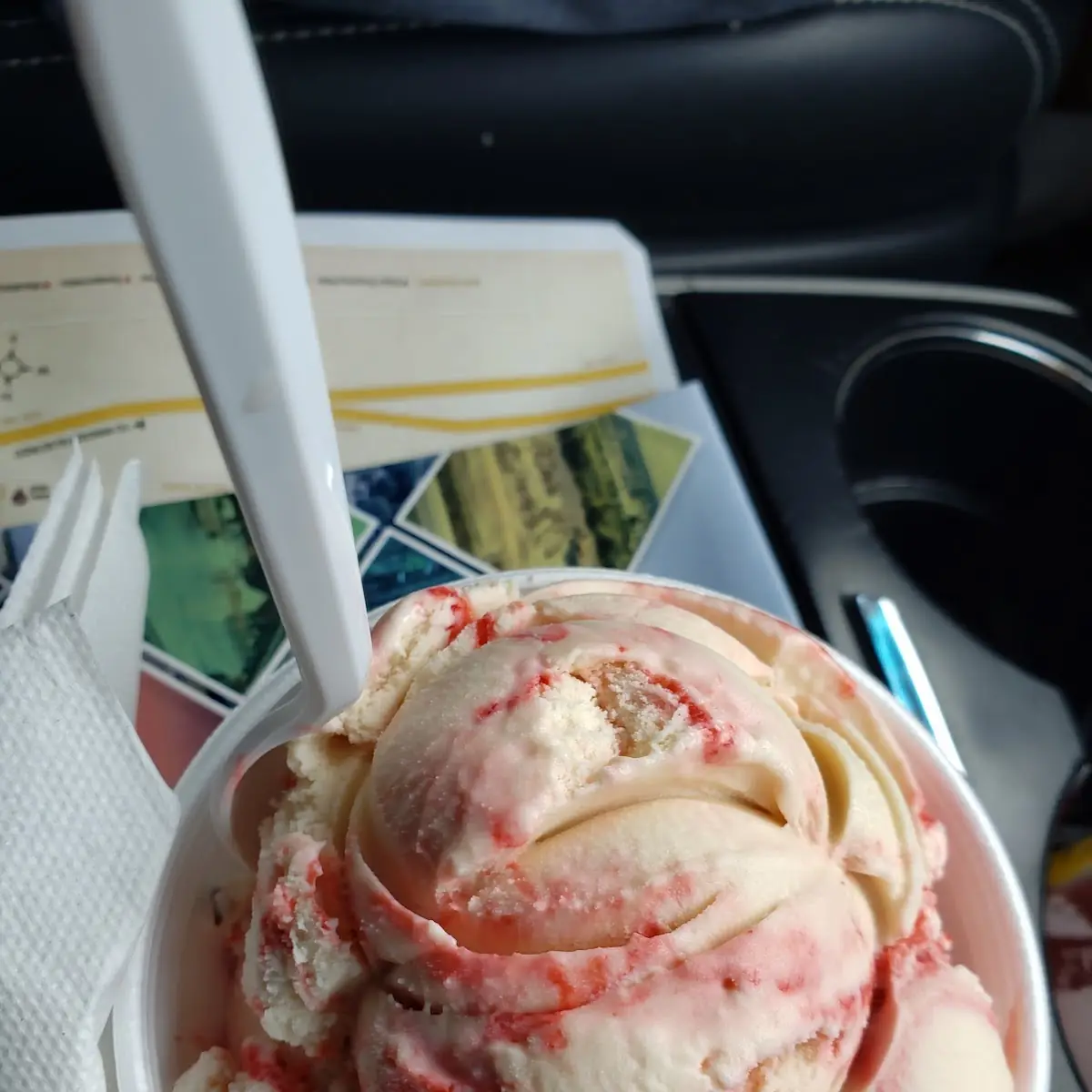 Salted Caramel Strawberry, Suzy's Ice Creamporium/Original Alberts