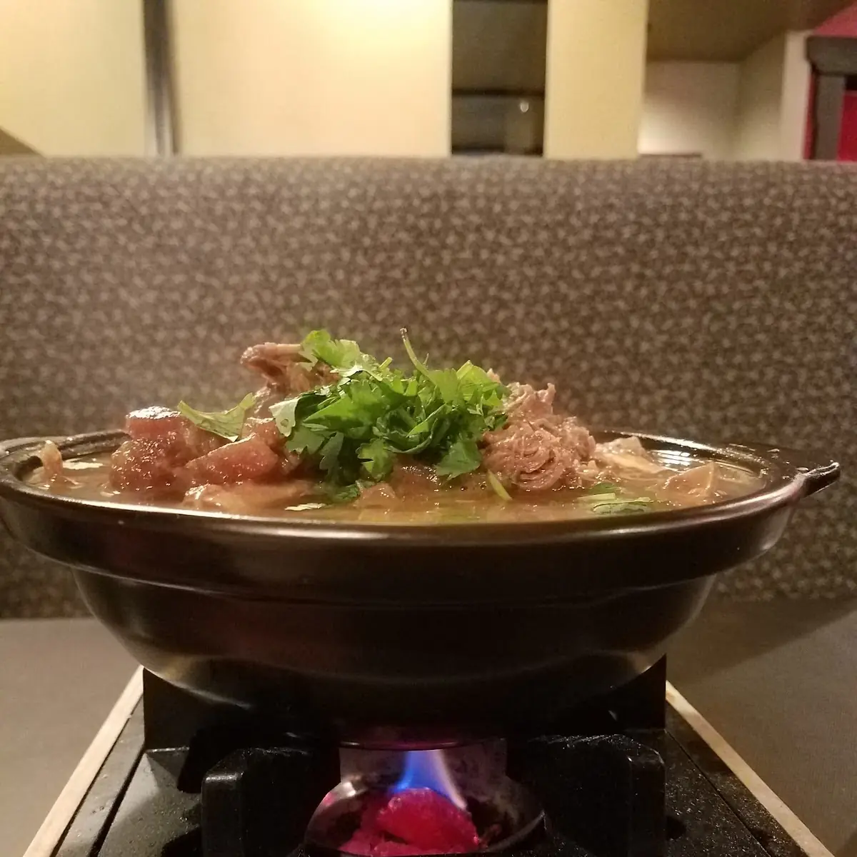Wonton Hot Pot