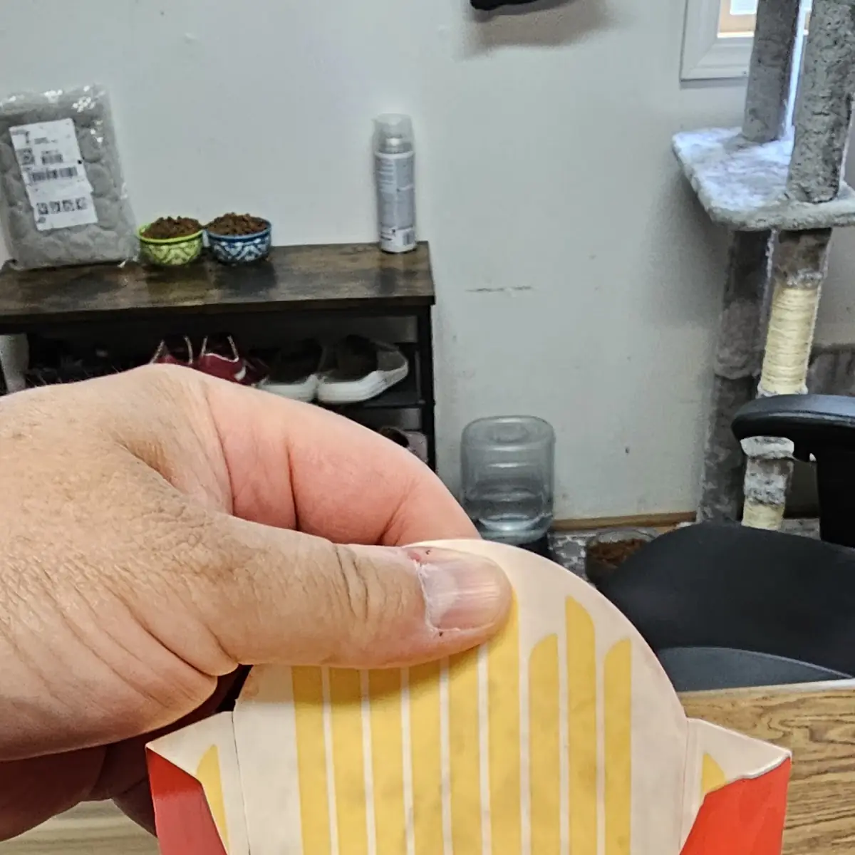 Large Fries