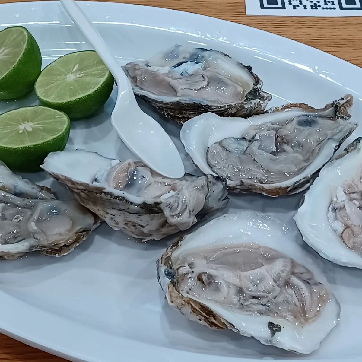 Ostiones En Su Concha