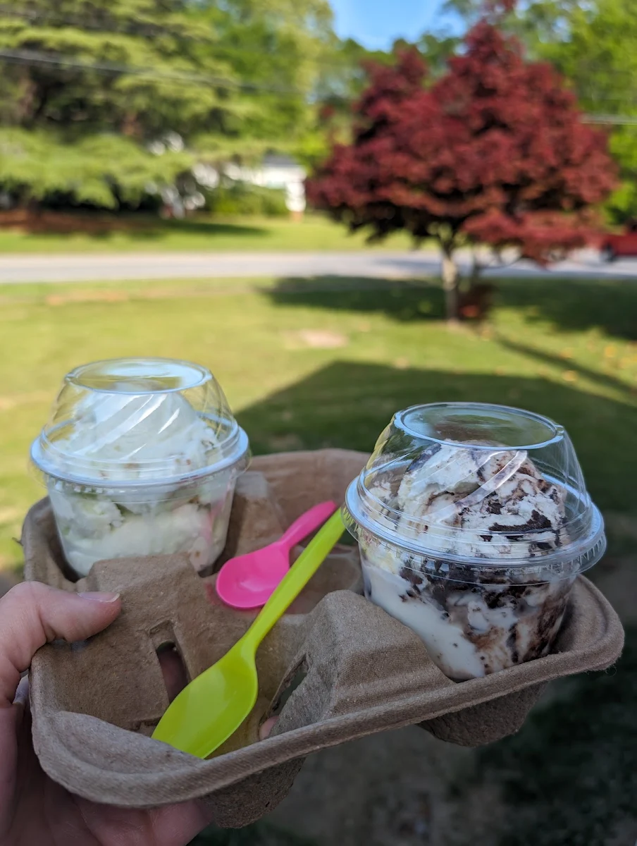 No Sugar Added Turtle Sundae