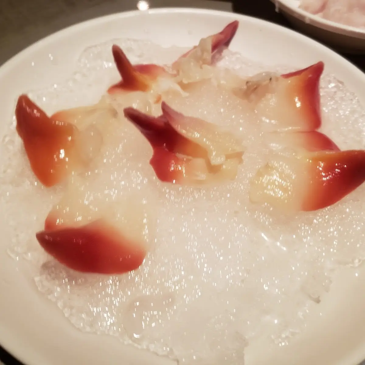 Surf Clam