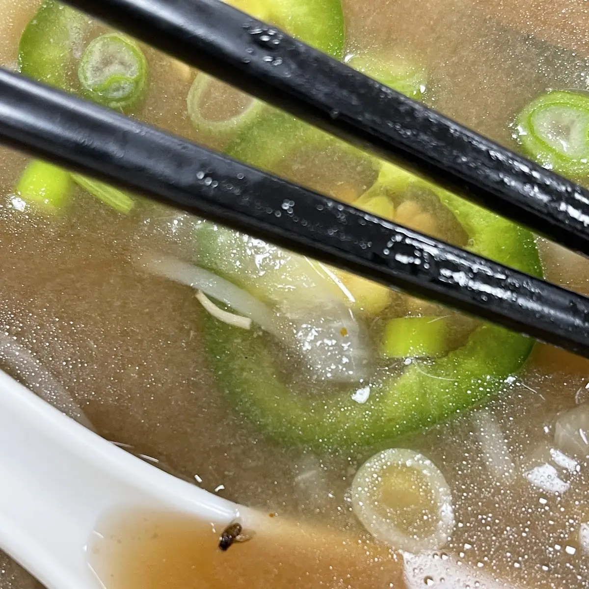 Miso Soup