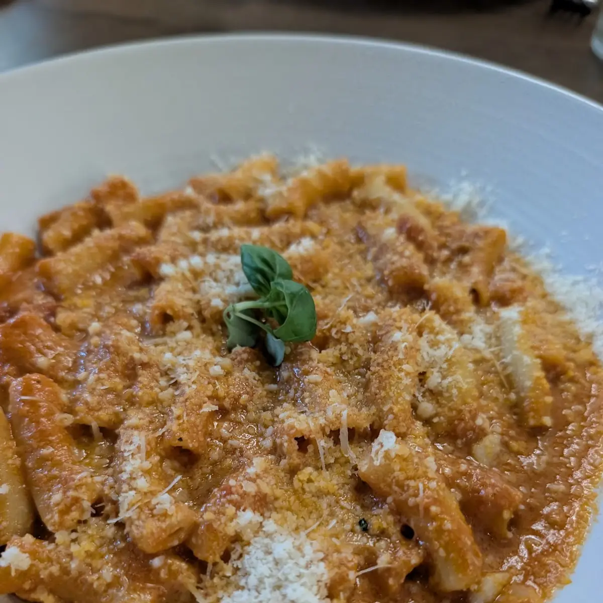 Rigatoni Pasta with Tomato Sauce