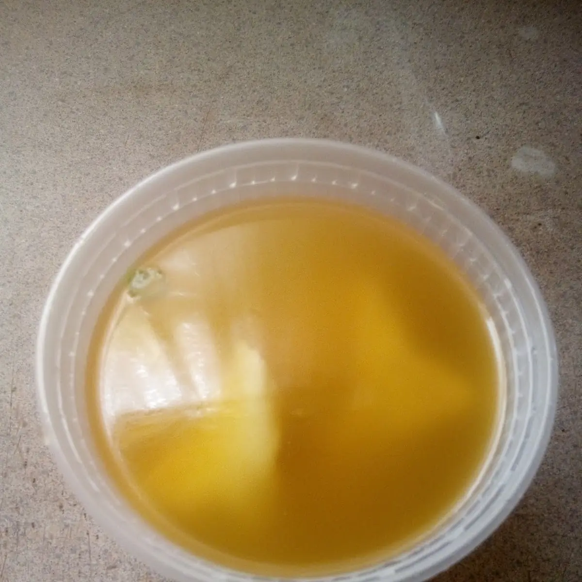Wonton Soup