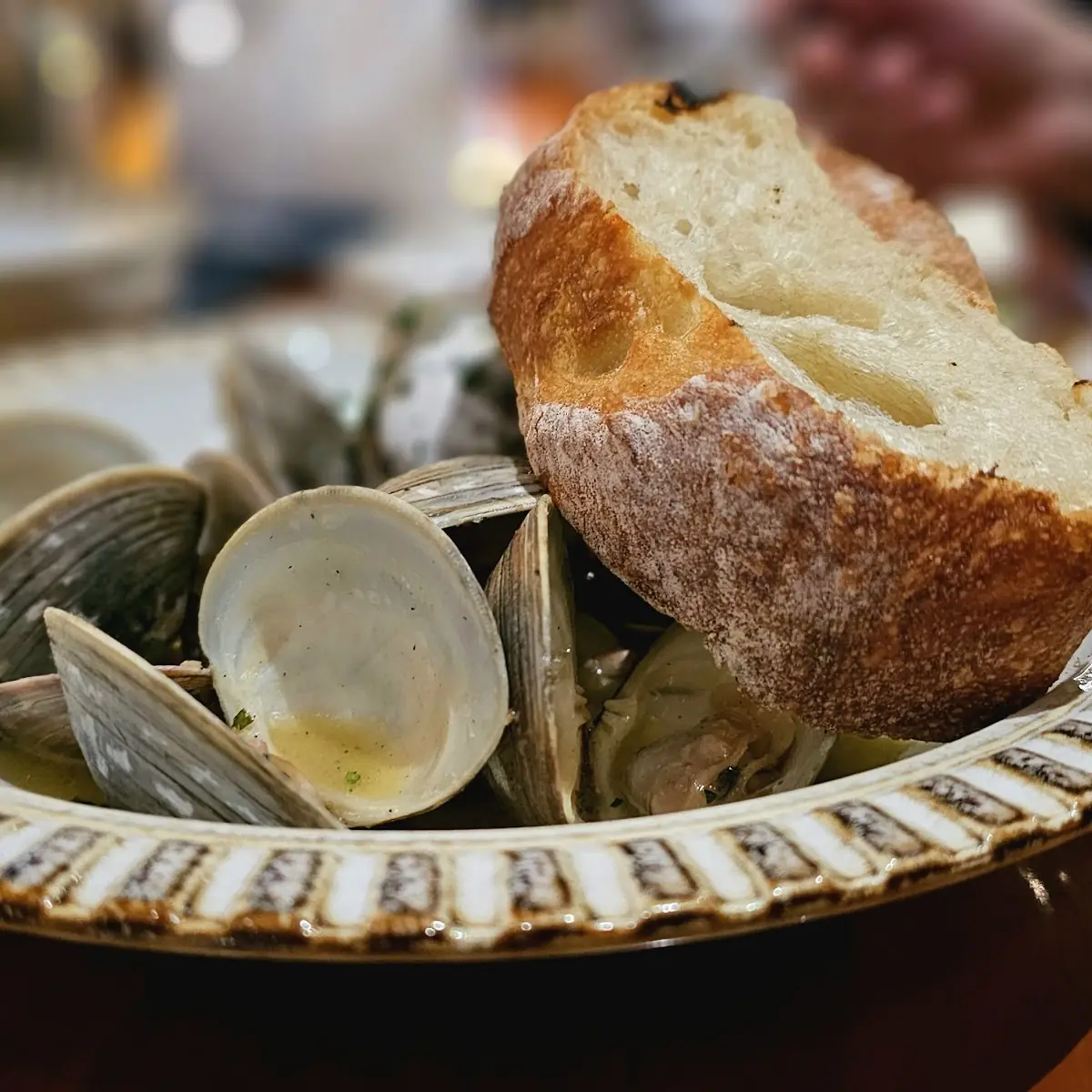 Steamed Clams Appetizer