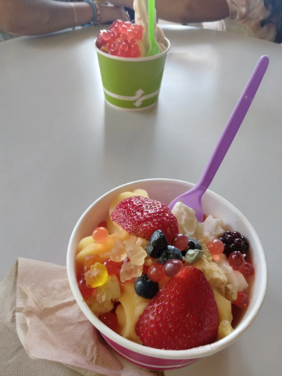 Frozen Yogurt